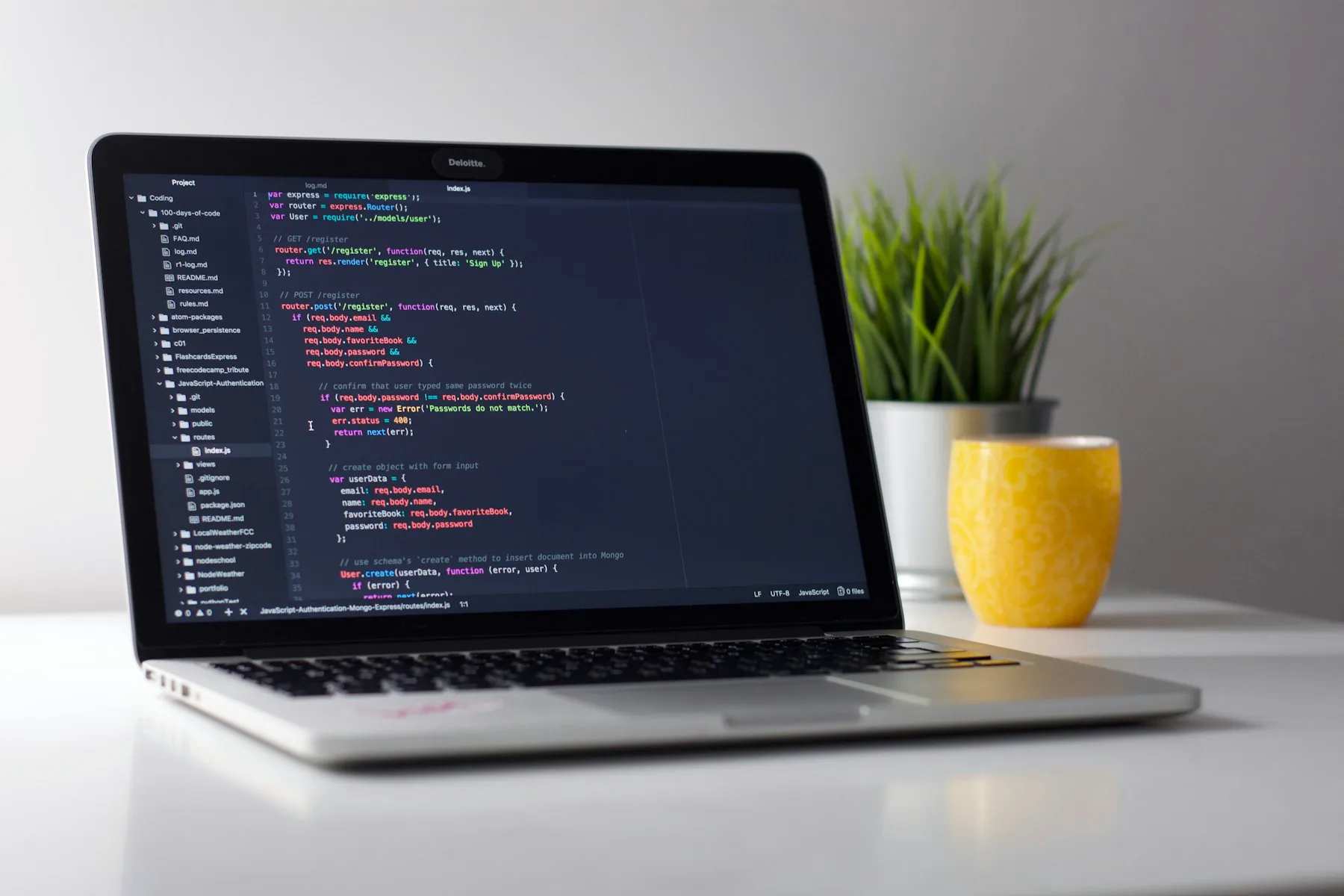Software development